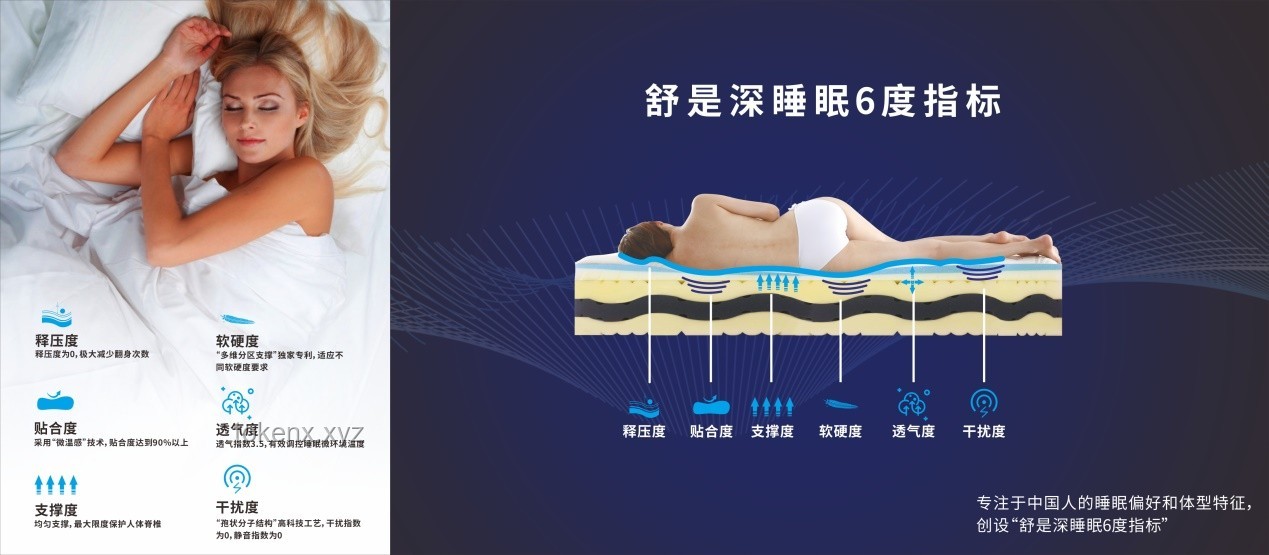 人为什么要睡觉：睡眠科学、健康管理与技术应用的深度洞察